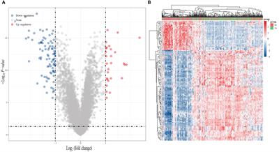 Seven Genes Associated With Lymphatic Metastasis in Thyroid Cancer That Is Linked to Tumor Immune Cell Infiltration